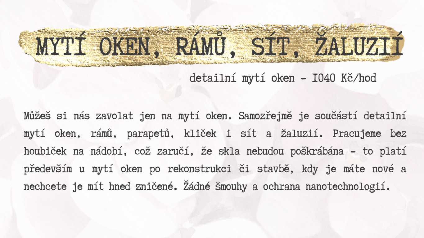 baner web (Web) (36)